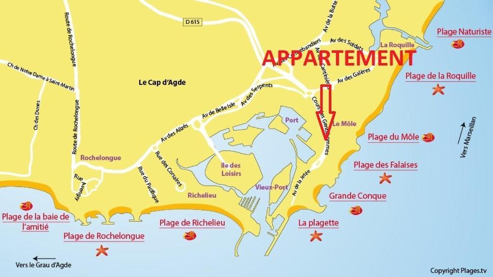 Cap D'Agde 300M Plage Du Mole,Vue Port,Parking,Lave Linge,Piscine Apartment Ngoại thất bức ảnh