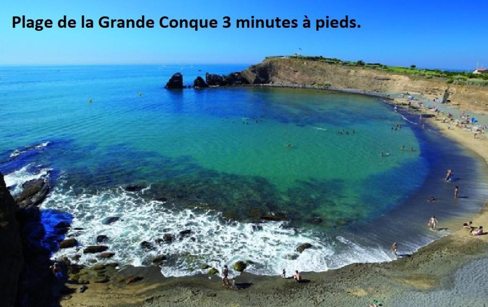 Cap D'Agde 300M Plage Du Mole,Vue Port,Parking,Lave Linge,Piscine Apartment Ngoại thất bức ảnh