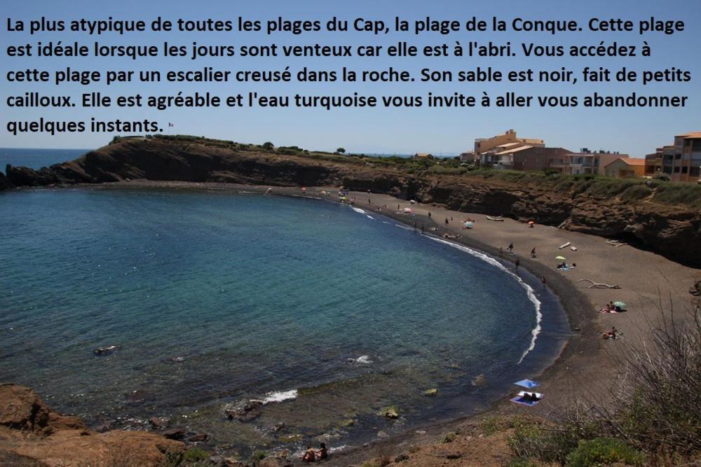 Cap D'Agde 300M Plage Du Mole,Vue Port,Parking,Lave Linge,Piscine Apartment Ngoại thất bức ảnh